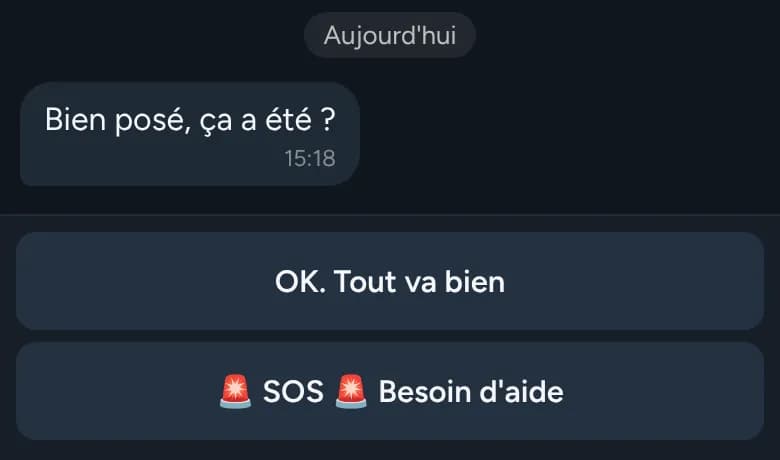 The bot asks “Landed OK?” with the “OK. All good” and “SOS Need help” buttons